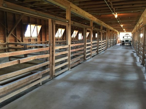 Barn Floor Pouring in Forney