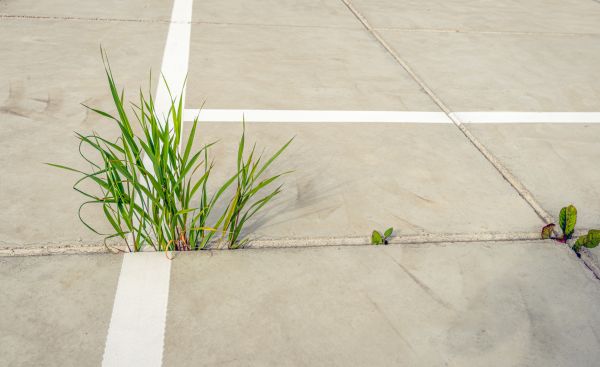 Concrete Parking Installation in Forney