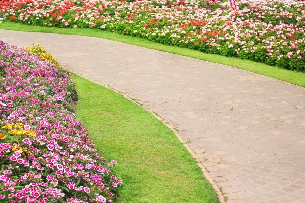 Concrete Walkway Service in Forney